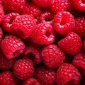 Delicious natural fresh red raspberries close up