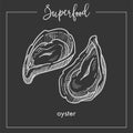 Delicious natural oyster in hard shell monochrome superfood sepia sketch.