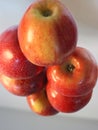 delicious natural red apples tasty beautiful temptation fruit vitamins