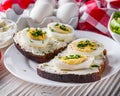 Delicious and nutritious cheese and boiled egg sandwich Royalty Free Stock Photo