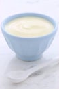 Fresh plain yogurt Royalty Free Stock Photo