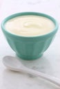 Fresh plain yogurt Royalty Free Stock Photo