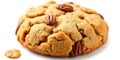 Delicious nutty cookie with pecans and chocolate chips sitting on a clean surface Royalty Free Stock Photo