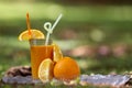 A delicious orange cocktail in a tropical garden