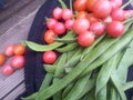Delicious Organic Cherry Tomatoes and Runner Beans Royalty Free Stock Photo