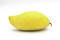 Delicious organic golden yellow mango on white isolated background with copy space. Ripe mango fruit have sweet and little sour Royalty Free Stock Photo