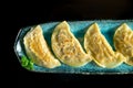 Delicious pan fried Asian gyoza stuffed with meat, served on a blue plate. Japanese Jiaozi or dumplings isolated on black