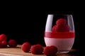 Delicious panacotta with raspberry gelatin Royalty Free Stock Photo
