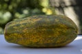 A Delicious Papaya Close Up