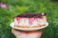 Delicious Party cherry cake slice on the plate in male`s hand. First person point of view POV over defocused garden