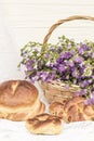 Delicious pastries bread and rolls with raisins and bouquet linen in wicker basket. Retro style