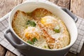 Delicious Pawese soup with toast, eggs and parmesan close-up. ho