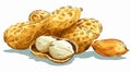 Delicious Peanuts Food Vector Art with Outline Isolated on White Background Royalty Free Stock Photo