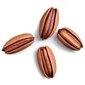 Delicious Pecan Nuts Arranged in a Cross Shape on a Clean White Background. Royalty Free Stock Photo