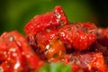 Delicious pepper salad with onions peppers and tomatoes Royalty Free Stock Photo