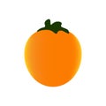 Delicious persimmon icon