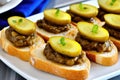 Delicious pickle and eggplant spread on toasted bread appetizers with garnish Royalty Free Stock Photo