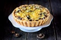 Delicious pie with chicken meat, eggplant, mushrooms, onion and cheese. Royalty Free Stock Photo