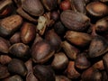 Delicious pine nuts Royalty Free Stock Photo