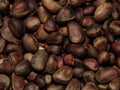 Delicious pine nuts Royalty Free Stock Photo