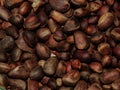 Delicious pine nuts Royalty Free Stock Photo