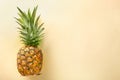 Delicious pineapple on color background