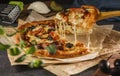 Delicious pizza with bacon, basil, olives, pickles and mozzarella cheese on parchment paper on a dark background. Fresh and Royalty Free Stock Photo