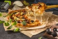 Delicious pizza with bacon, basil, olives, pickles and mozzarella cheese on parchment paper on a dark background. Fresh and Royalty Free Stock Photo