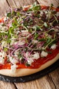 Delicious pizza with feta and mix microgreen close-up. vertical