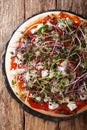 Delicious pizza with feta and mix microgreen close-up. Vertical top view