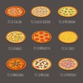 Delicious pizza icons. Pepperoni, margherita and other italian pizzas slices isolated vector illustration