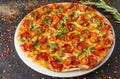 Delicious pizza with spanish sausage and cilantro Royalty Free Stock Photo