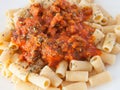 Delicious plate of macaroni with tomato Royalty Free Stock Photo