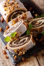 Delicious poppy seed roll with raisins and walnuts covered with glaze close-up. vertical