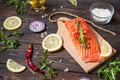 Delicious portion of fresh salmon fillet with aromatic herbs, spices and vegetables - healthy food, diet or cooking concept Royalty Free Stock Photo