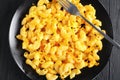 Delicious portion of hot Mac and Cheese Royalty Free Stock Photo