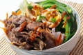 Delicious pulled braised duck meat ramen soup bowl Royalty Free Stock Photo