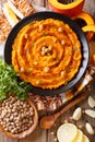 Delicious pumpkin hummus with ingredients close up. Vertical top Royalty Free Stock Photo