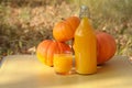 Delicious pumpkin juice from the fresh crop.