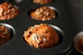 Delicious pumpkin muffins with sunflower seeds in baking form, closeup Royalty Free Stock Photo