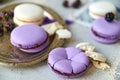 Delicious purple macarons, caps from cakes close up. Purple and white macarons with fresh blackberries on blurred gray background