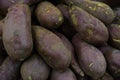 Delicious purple yams or ube at the Farmers market, highly nutritious edible tubers and starchy root vegetable