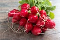 Delicious radishes oranic brunch on rustic table