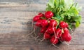 Delicious radishes organic brunch on rustic wooden table