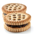Delicious Raisin Filled Cookies Sweet Bakery Treats Two Stacked Biscuits
