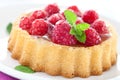 Delicious raspberry cake Royalty Free Stock Photo