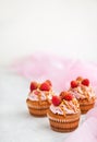 Raspberry and caramel cupcakes on white