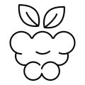 Delicious raspberry icon, outline style