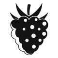 Delicious raspberry icon, simple style