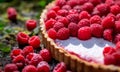 Delicious raspberry tart with cream, powdered sugar on green forest background